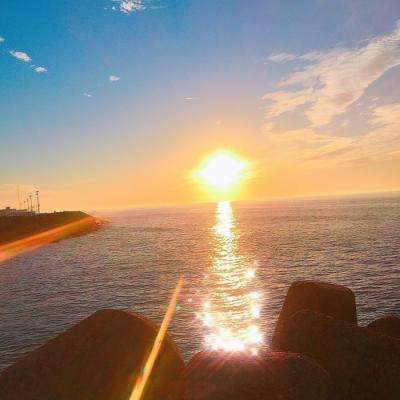 三张牌下载金花免费手机app下载